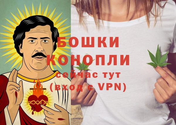 прущая мука Нея