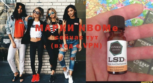 гашик Новозыбков