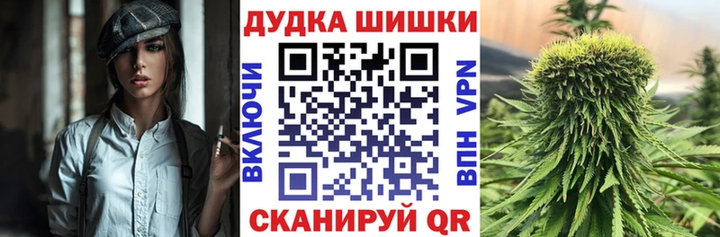 Бошки Шишки ГИДРОПОН  Купить  Абакан 